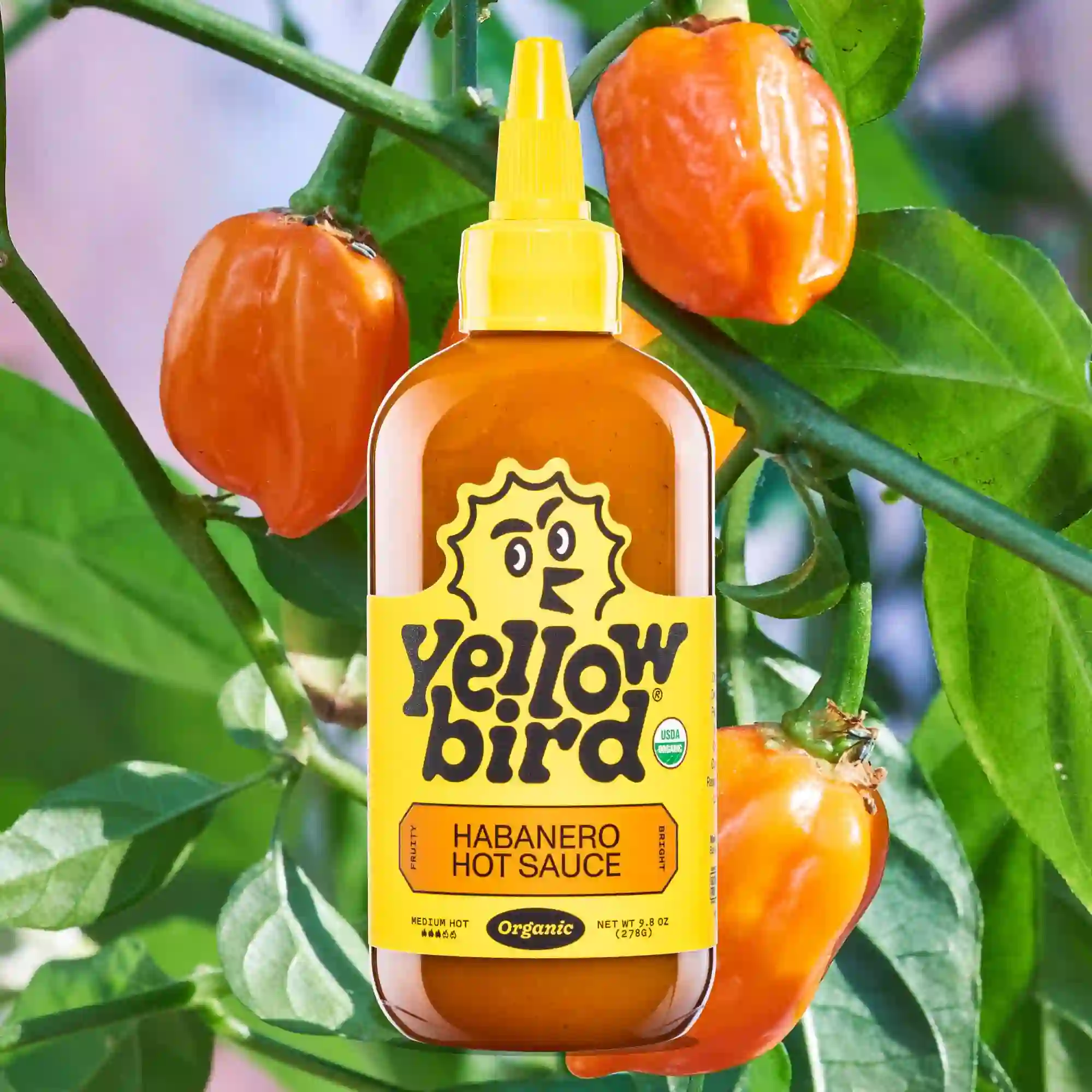 Custom Hot Sauce Labels