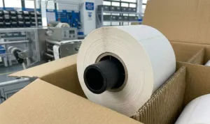 Anti telescoping core plug locked in label roll packaging