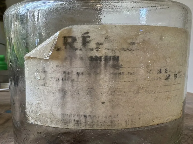 plain paper label water damage